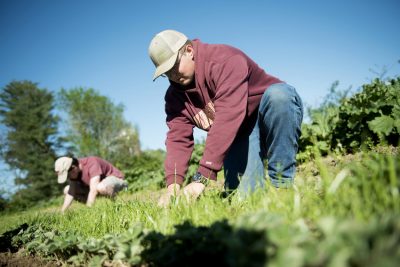 Agricultural Technology Program