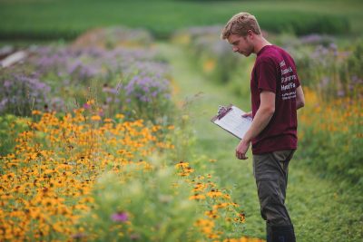 School of Plant and Environmental Sciences