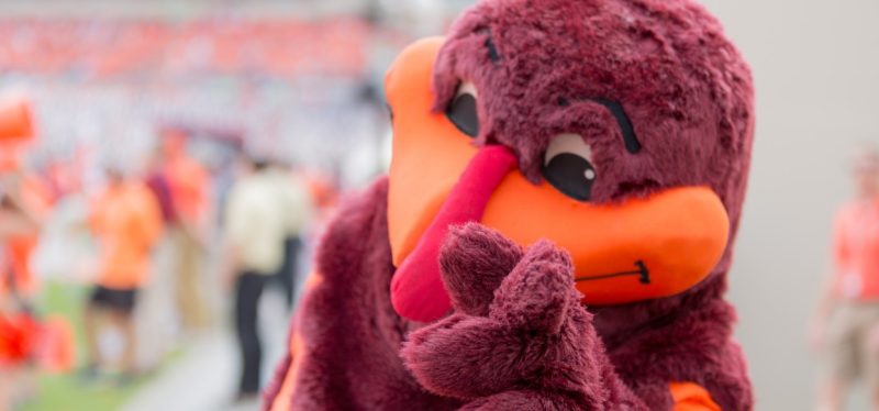 image of hokiebird