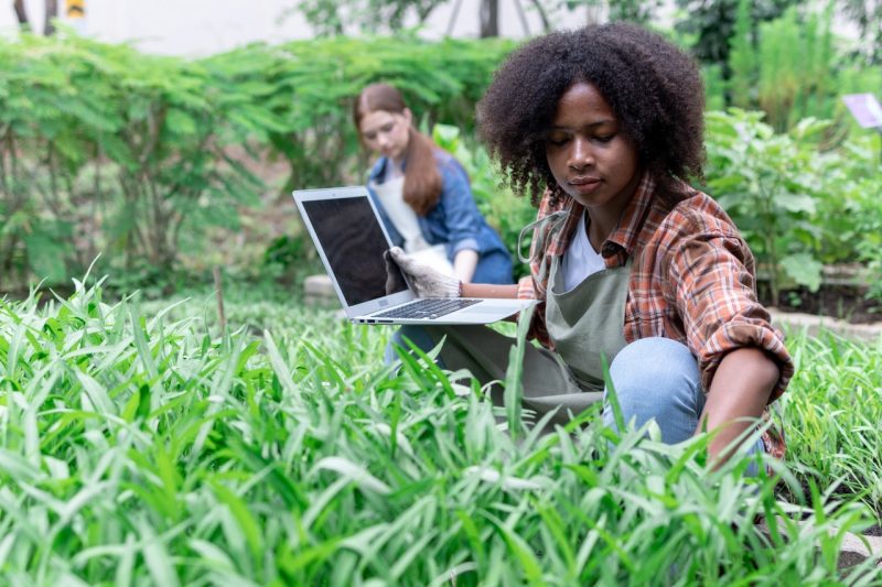 African Farmer stand in the green farm with holding tablet