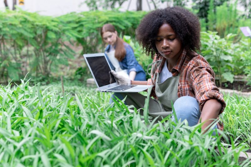 Two people talk in a field.