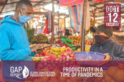 Productivity in a Time of Pandemics 2020 GAP Report