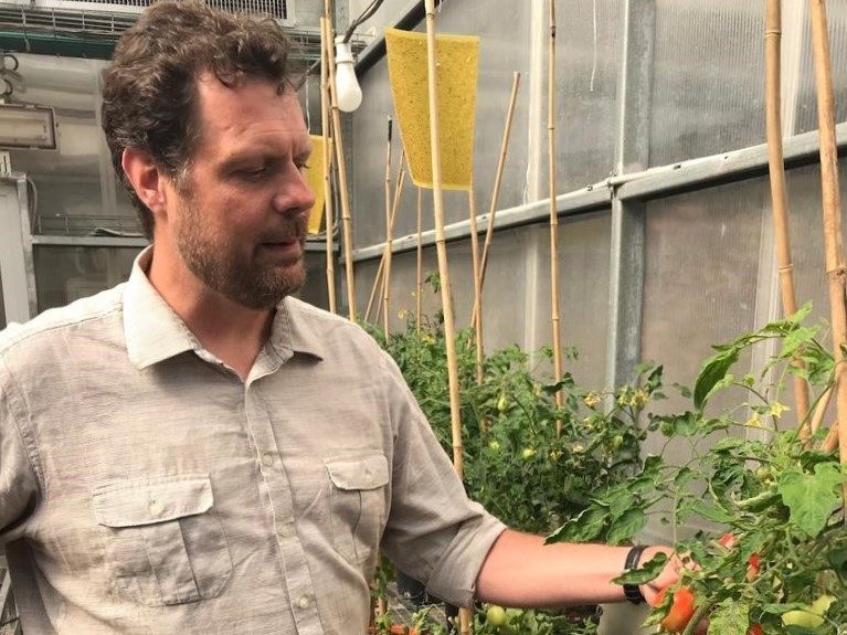 Faculty Partnership Initiative grantee Bastiaan Bargmann in Israel