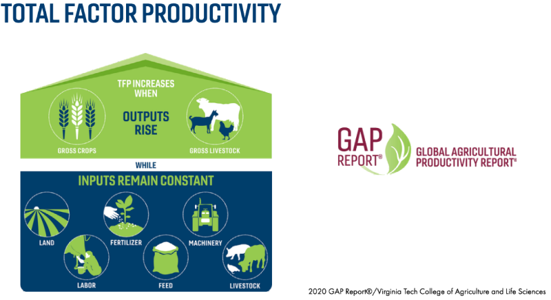 Total Factor Productivity increases when outputs rise, such as drops and livestock, while inputs remain constant, .such as land, fertilizer, machinery, labor, feed, and livestock. Global Agricultural Productivity (GAP) Report.