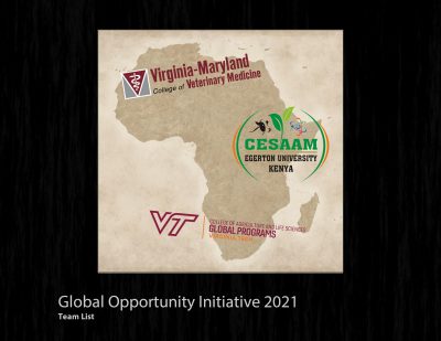 Global Opportunity Initiative 2021