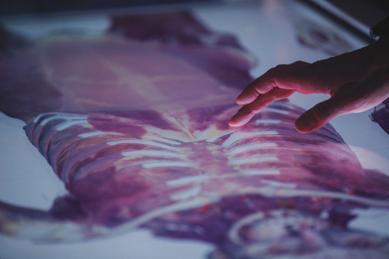 Anatomage table
