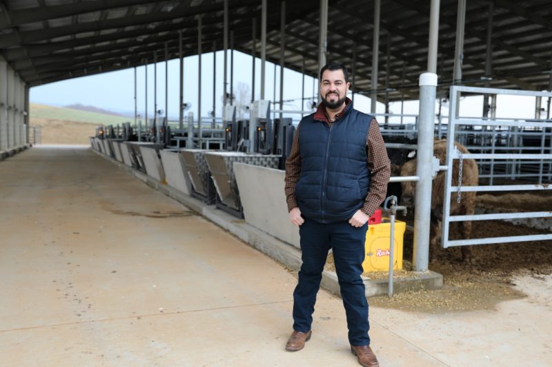 A man stands in front of a large open-air cattle facility.