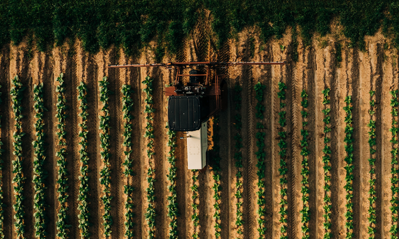 Tractor in a field