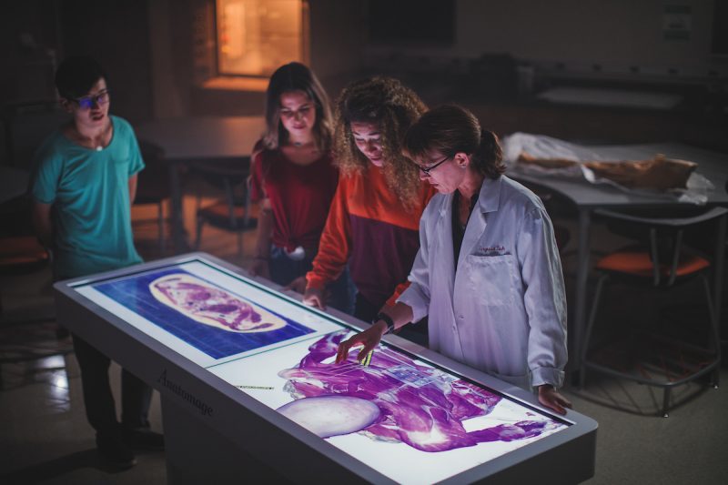 Picture of professor and students at an anamotage table