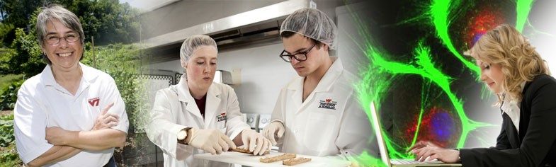Online Master of Agricultural and Life Sciences