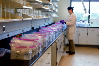 CALS Research Research Focus Areas