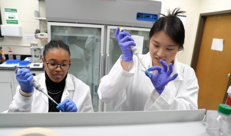 two researchers in a lab