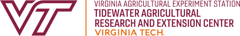 Tidewater AREC