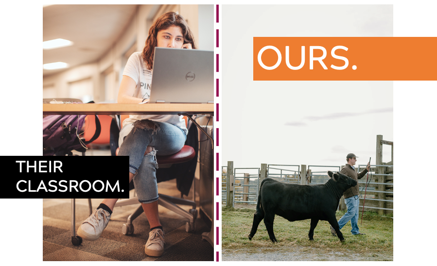 Our Classroom Their classroom vs. Our classroom