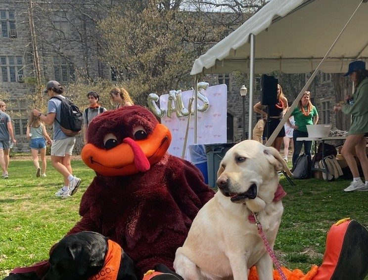 Hokie bird and dogs