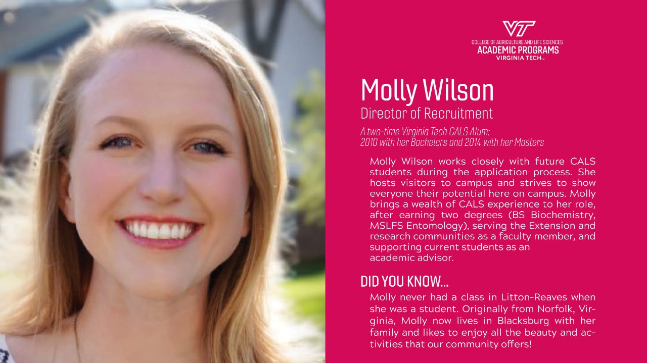 Molly Wilson