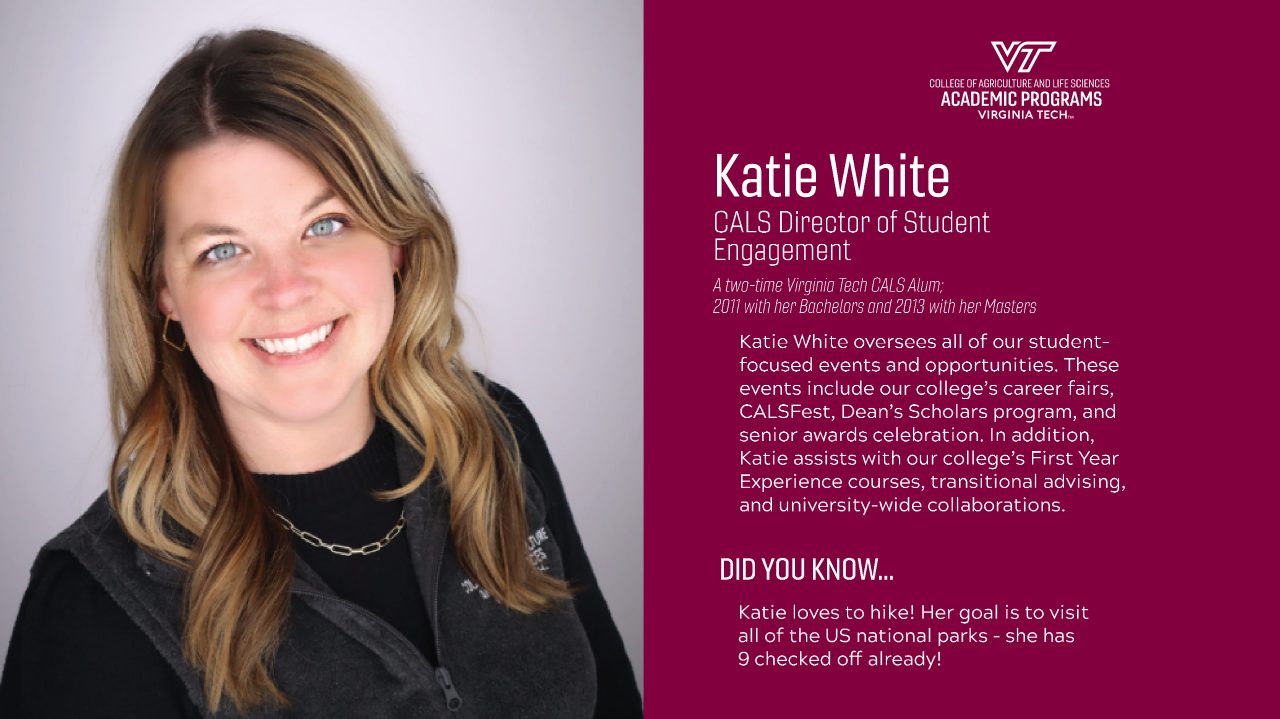 Katie White