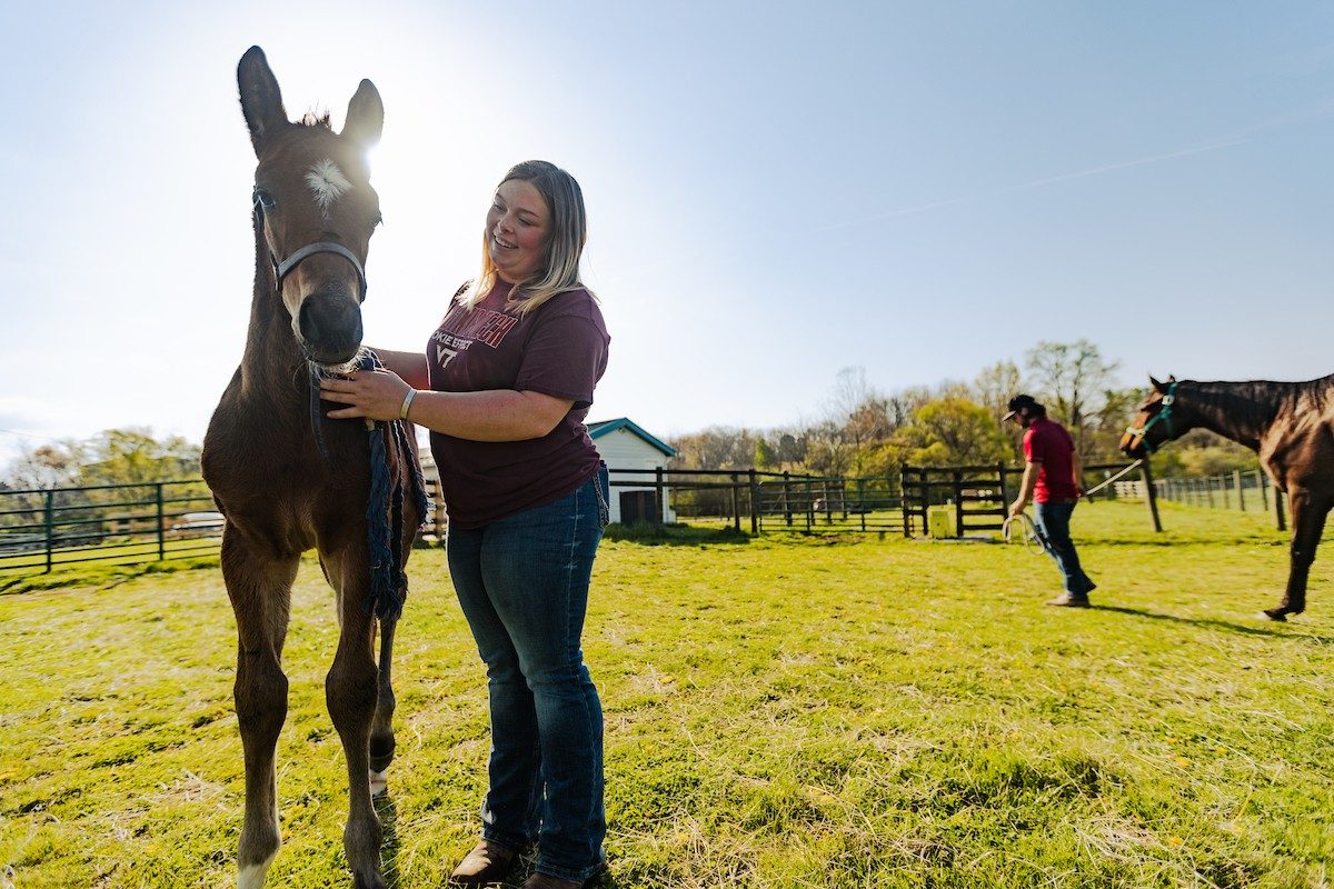 Students in Horse Management are working with a horse and foal in a pasture. 