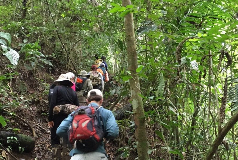 Students team with Ecuadorean tribes to learn most-effective plants for treating infection