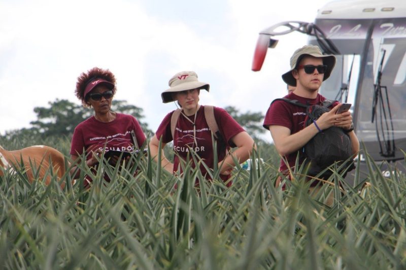 Students trek deep into the Amazon and scale the Andes to learn about global food security