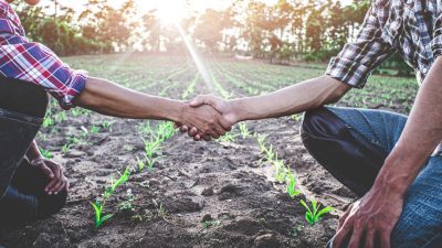 Farmers shaking hands in field