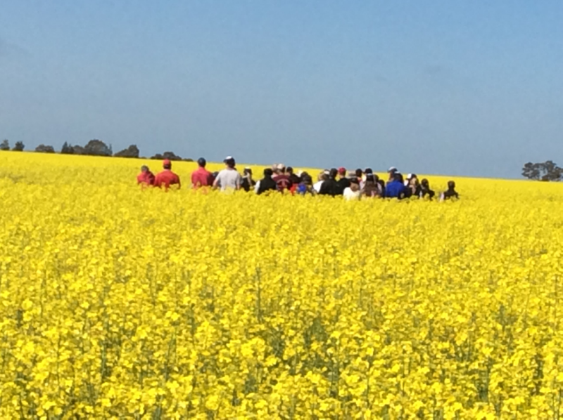 A photo of people standing in a field in Australia