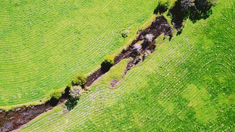 A drone photo of a field in Australia.