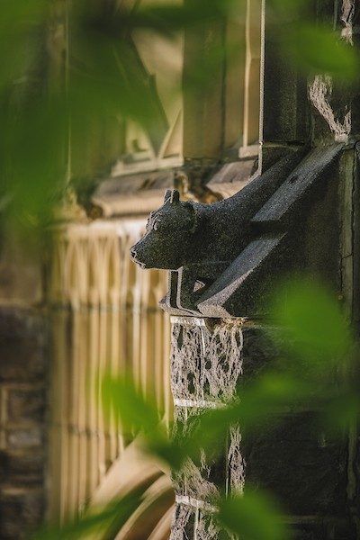 image of building gargoyle