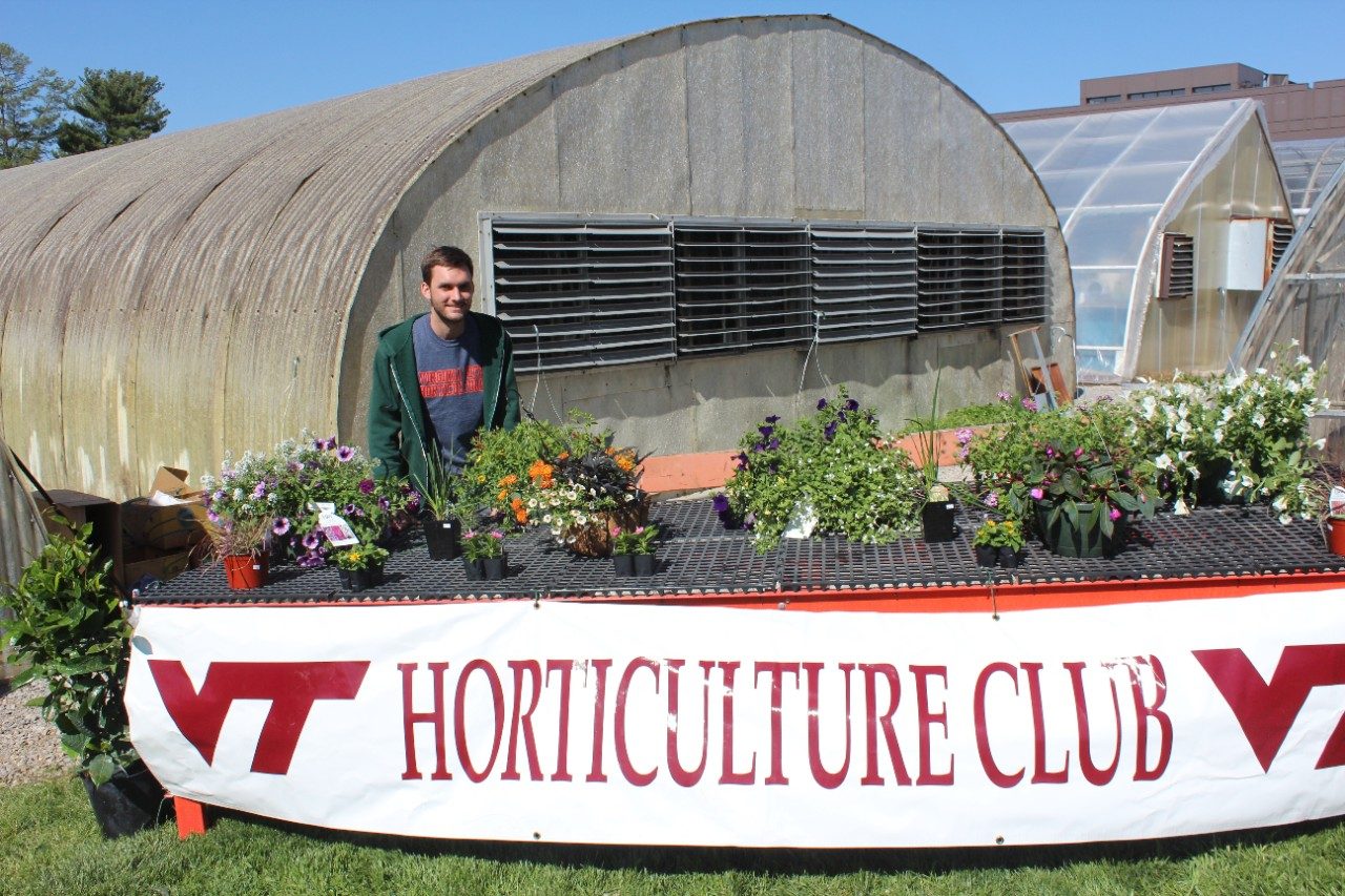 Annual horticulture club plant sale.