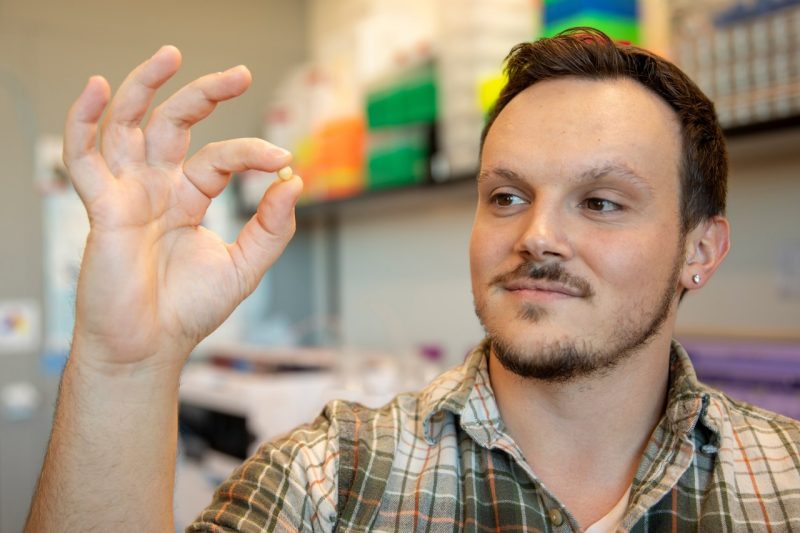 Man holds seed in hand