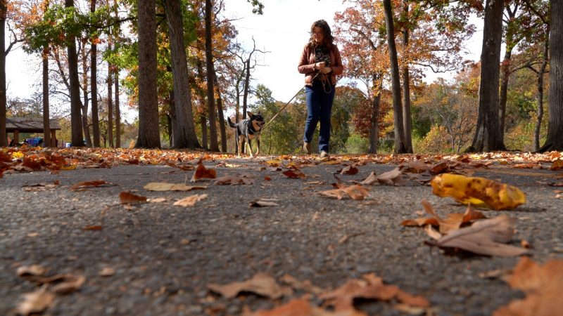 Lisa Gunter, who worked on the project at both Virginia Tech and Arizona State University, walks her dog, Sydney, in Roanoke.