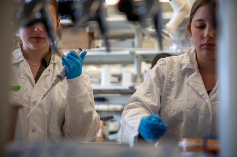 Students test samples of soup in a lab