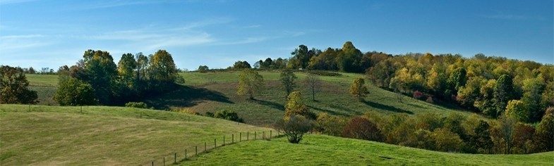 Image of College Farm