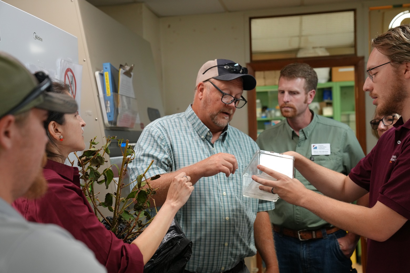 plant disease clinic