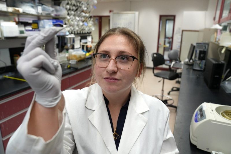 Researcher Melanie Hempel handles a mosquito specimen in the lab. Hempel helped develop the DeMark system, a new method for producing nonbiting male mosquitoes for disease control. Photo by Marya Barlow for Virginia Tech.