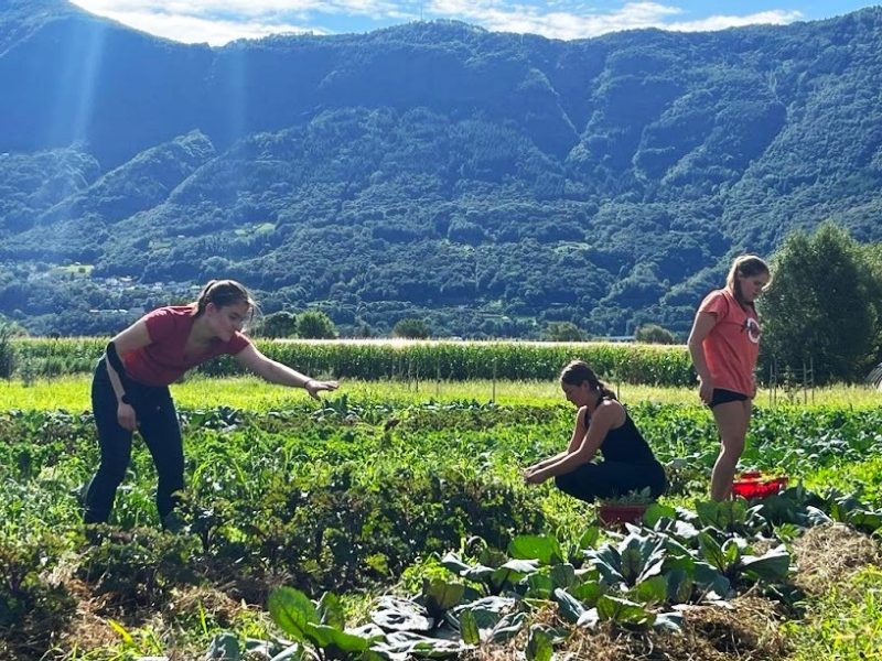 students in fields working with produce